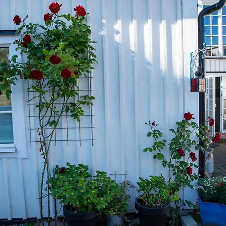 Guest House Tullgatan 24-3