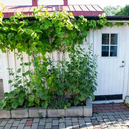 Guest House Tullgatan 24-2
